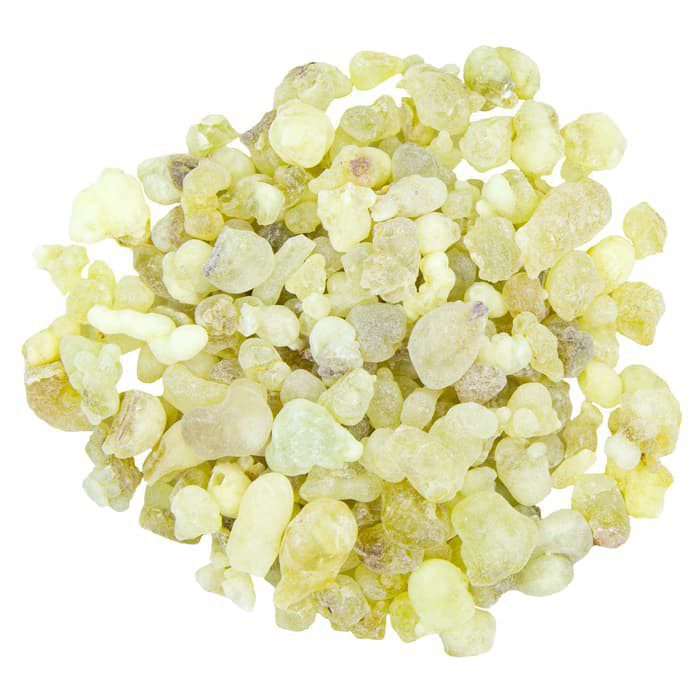 [INS-018] Frankincense Royal White Hojari (Boswellia Sacra) (Oman) (50 gr)
