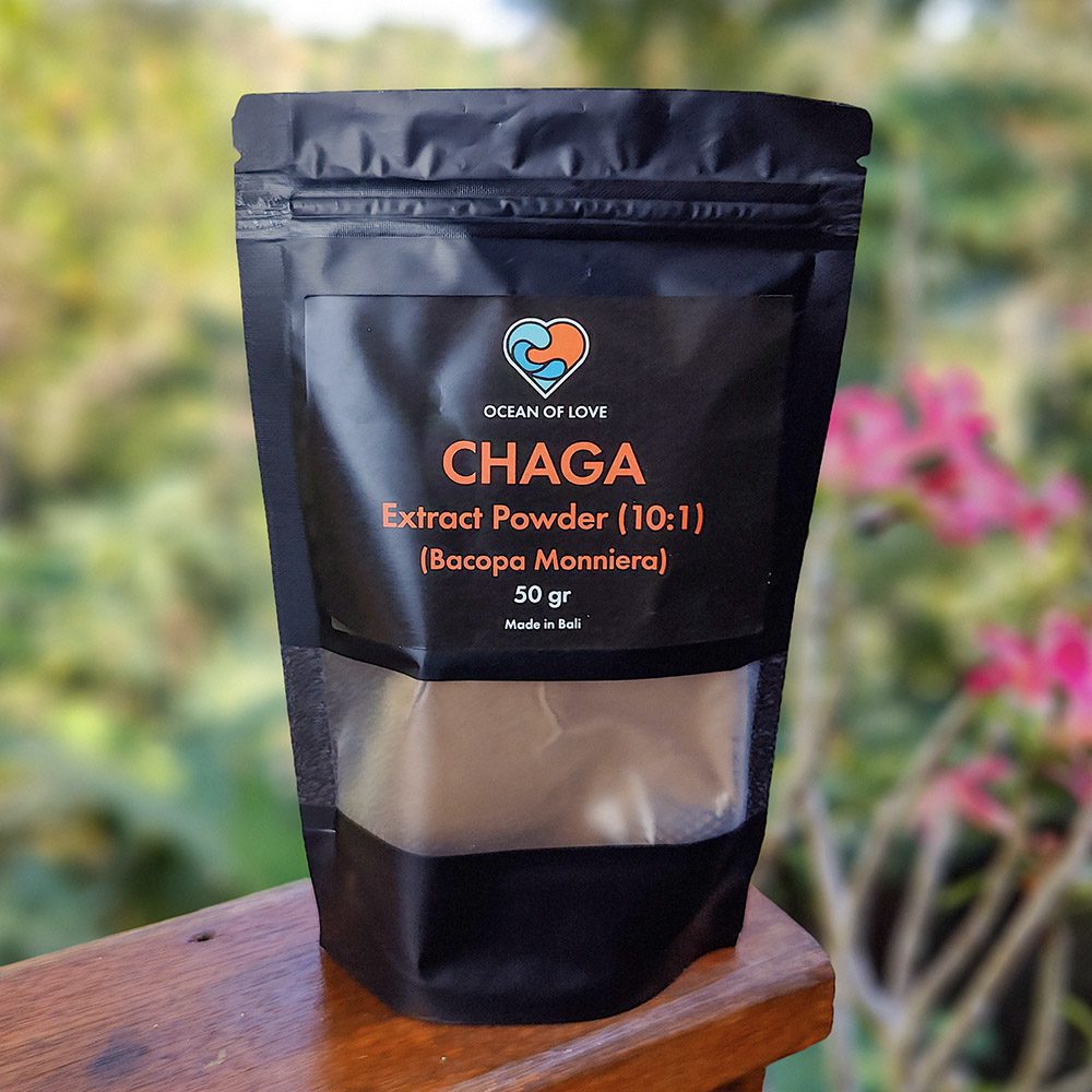 [PLT-006] Siberian Chaga Mushroom Extract Powder (10:1) (Inonotus Obliquus) (50 gr)