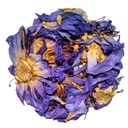 blue_lotus_tea