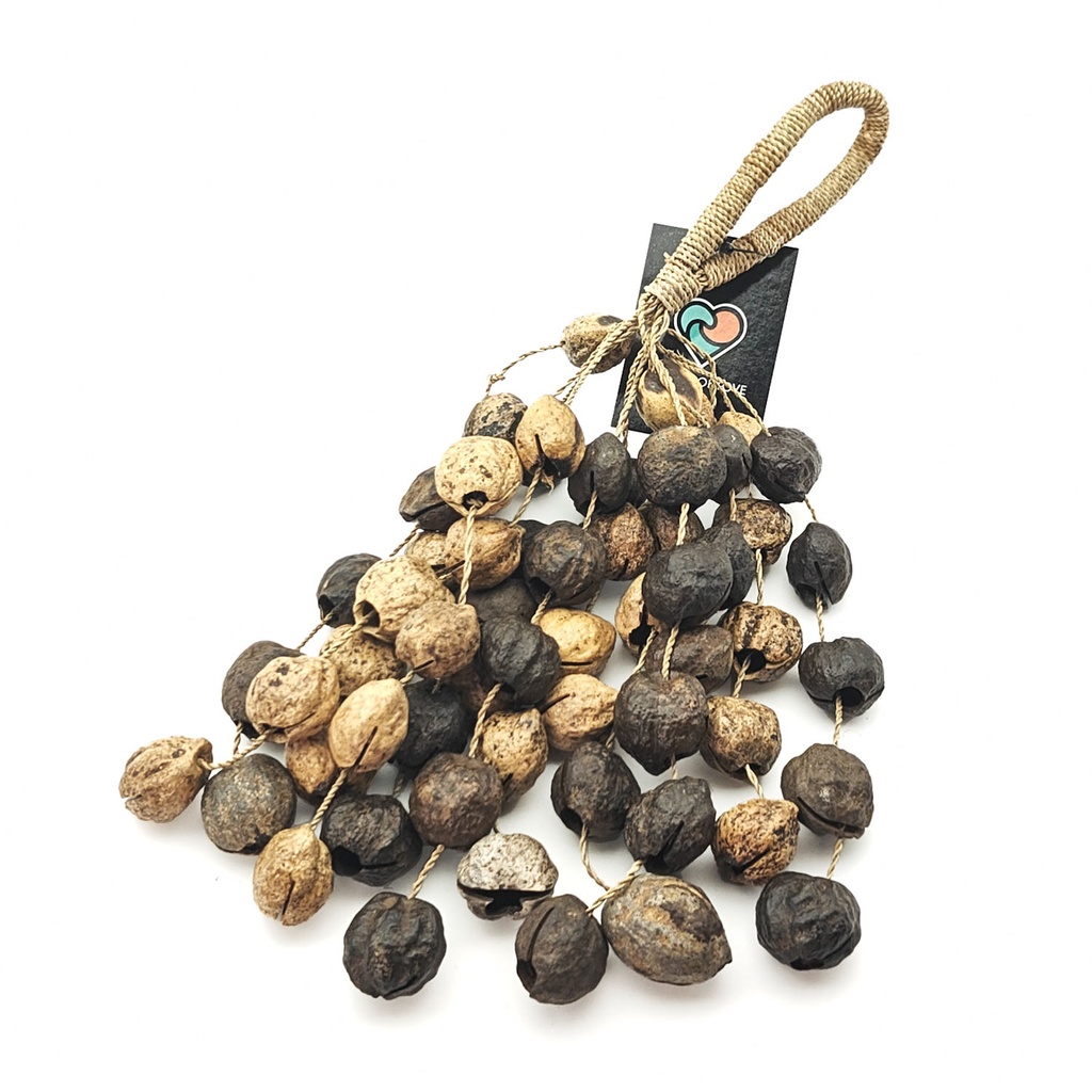 [MUI-284] Candlenut Shaker Medium (12x5)