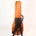 hrp-001_kora_21string_009