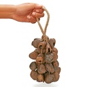 pangi_nut_shaker_big_02
