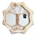 shd-109_shamanic_drum_horns_60_01.webp