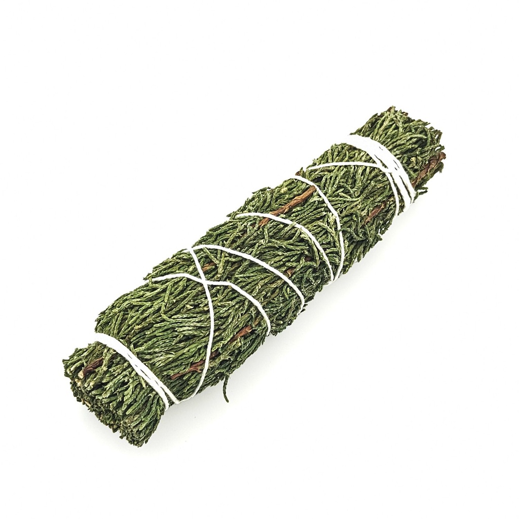 [INS-047] Thuja Smudge (12 cm)